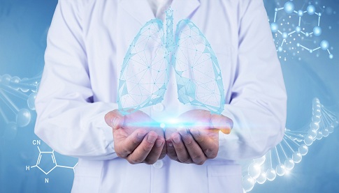 1657899235178876.jpg 攝圖網_500686164_banner_醫生雙手上的肺部(企業商用).jpg