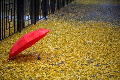 1666372293648138.jpg 攝圖網(wǎng)_500140757_banner_秋雨.紅傘(非企業(yè)商用).jpg