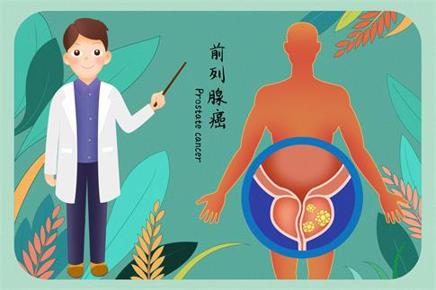 1691798988751140.jpg 攝圖網_401865229_banner_前列腺癌醫(yī)療插畫(企業(yè)商用).jpg