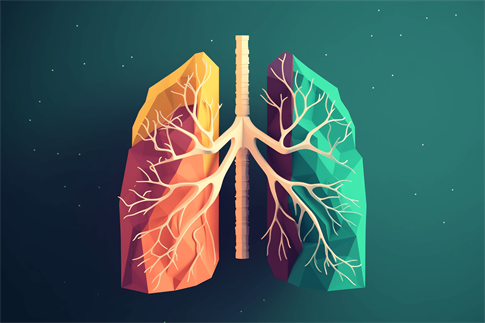 1695254188671102.jpg 攝圖網_600071782_banner_肺的藝術化插畫(企業商用).jpg