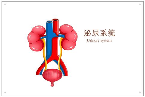 zDW_401791916_ϵyt宋(I).jpg