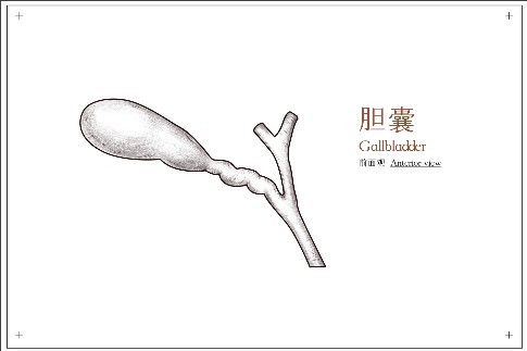 1745813104344883.jpeg 修改尺寸 (10).jpeg